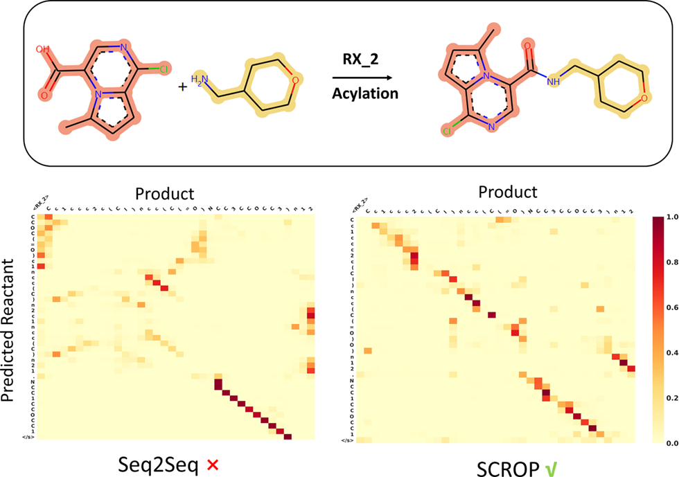 图.6 从SCROP和seq2seq模型中提取的酰化反应的 Top-1注意力图。